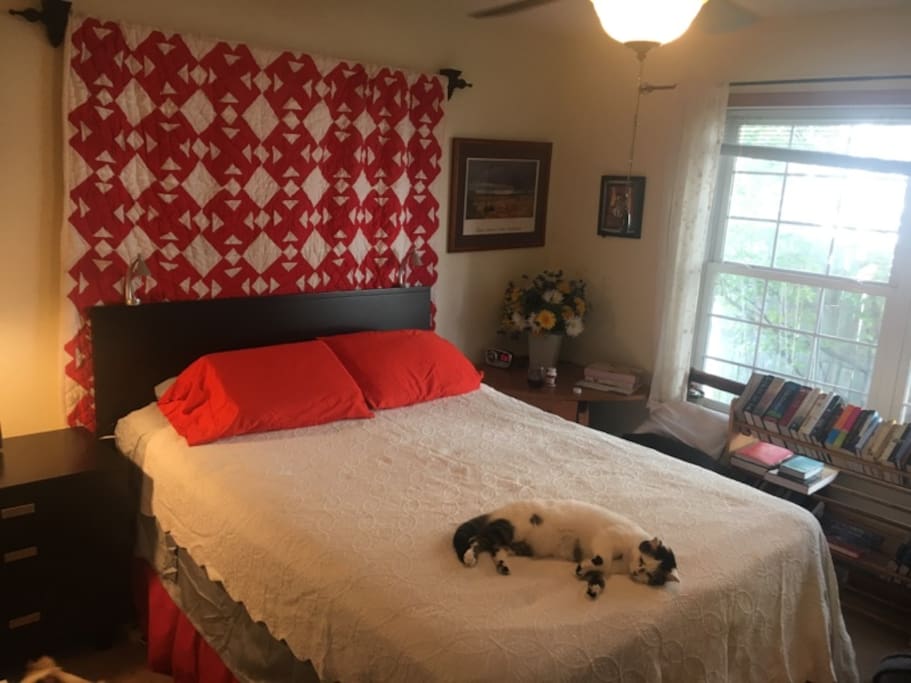 Master bedroom with queen sized bed with adjustable positions