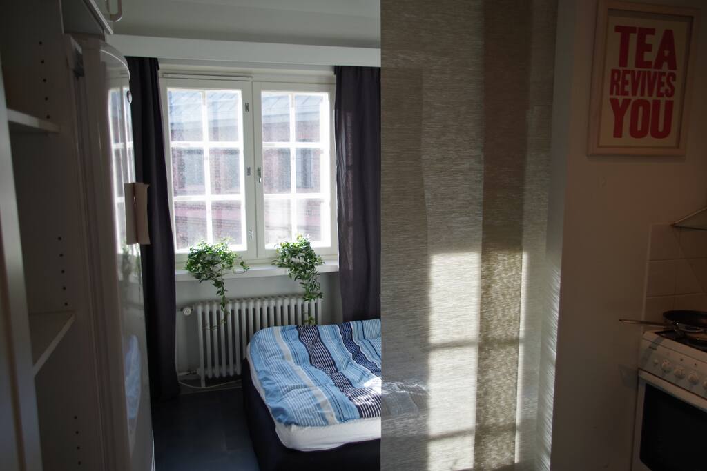 Bedroom is adjacent to a compact kitchen with a gas stove.
