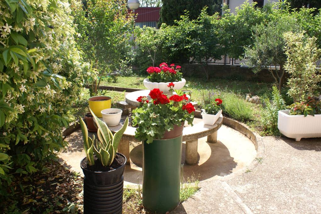 Garden