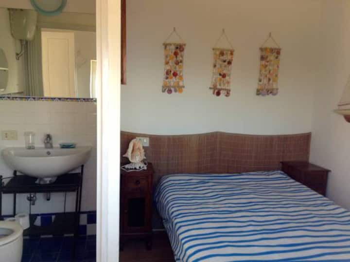 Habitación pequeña con 1 cama y media y baño sin ducha