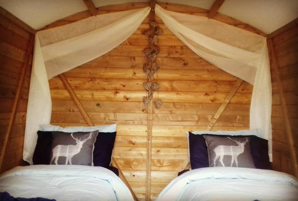 Twin bedded option