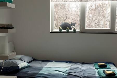 Charlie's studio - cozy home in central Sofia