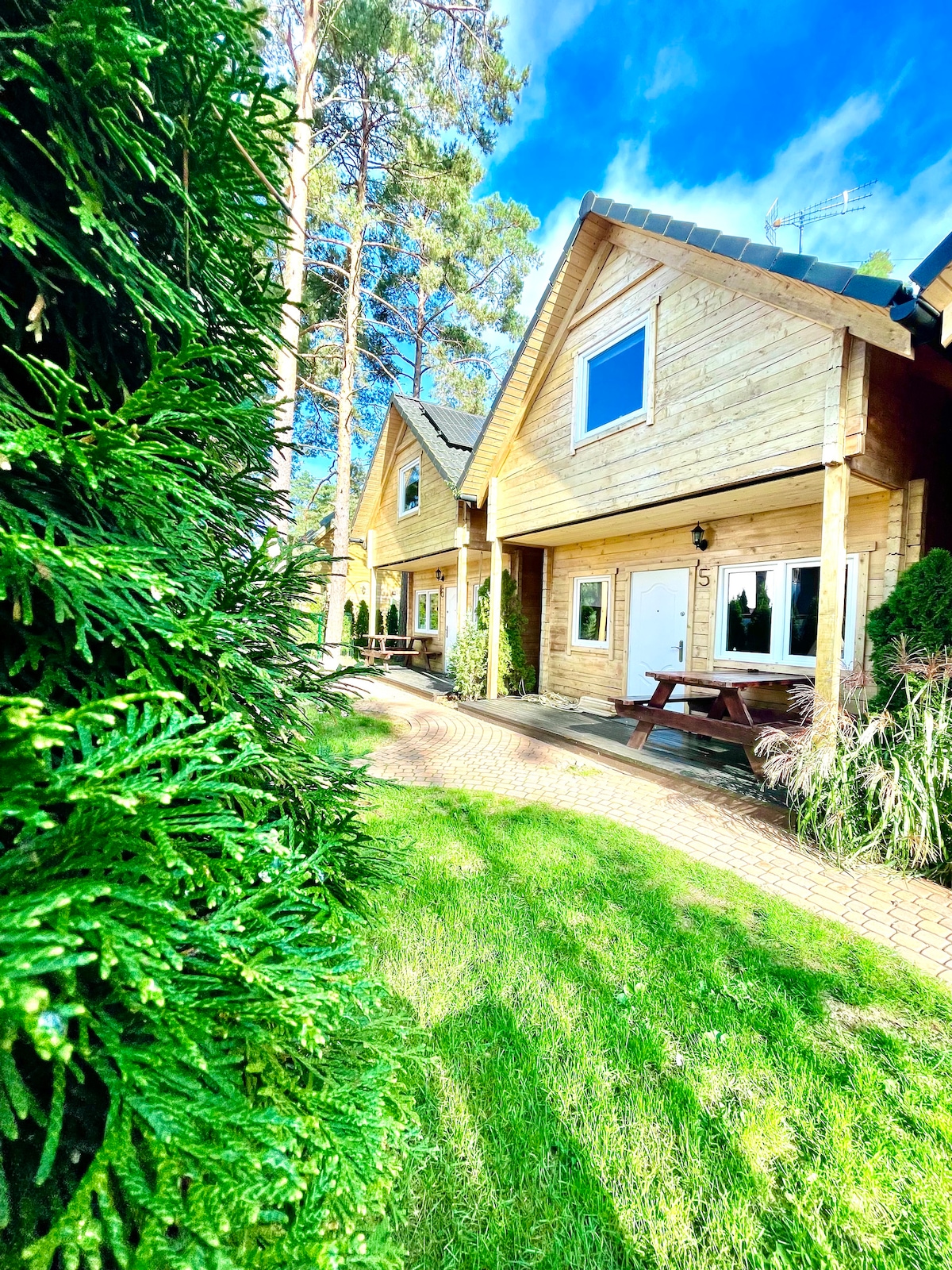 Two wooden cottages are visible, surrounded by lush green grass and trees. A stone path leads up to the entrances, which feature large windows and sitting areas for relaxation. The sky above is clear with scattered clouds, enhancing the natural setting.