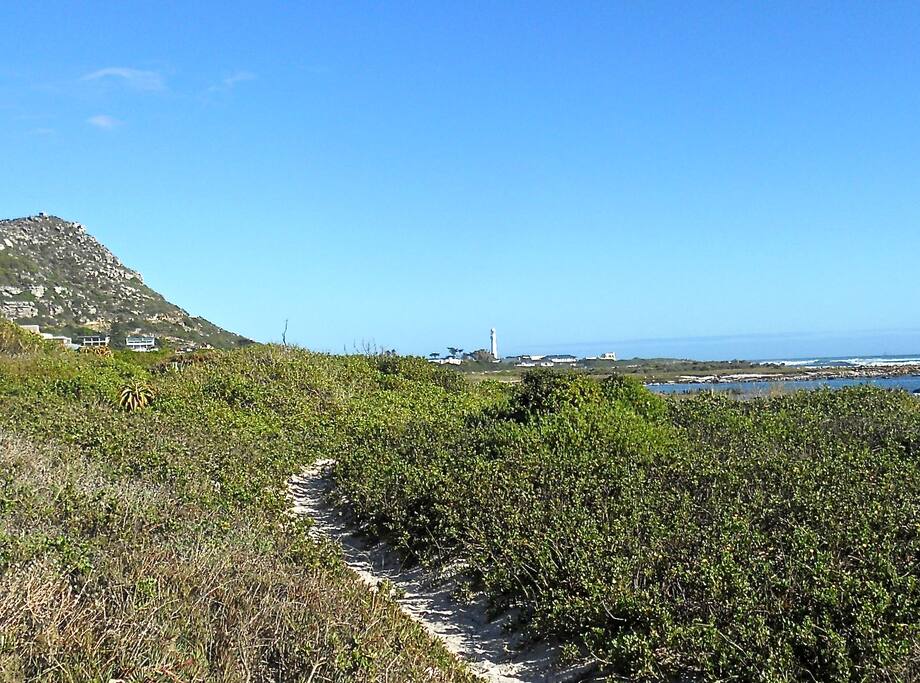 Walk to the lighthouse