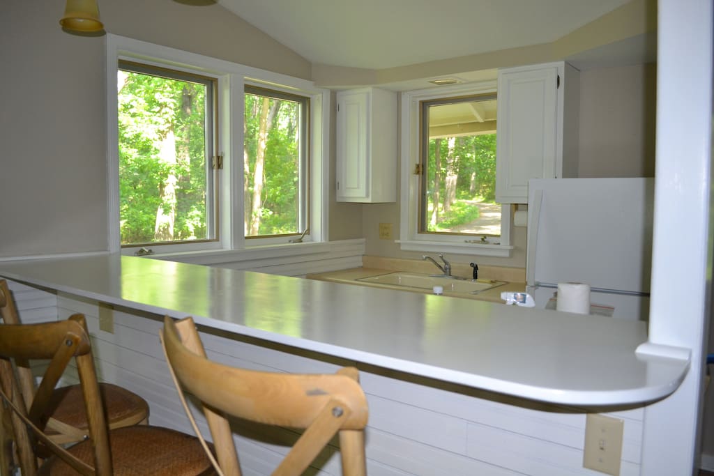 Kitchen has views of woods