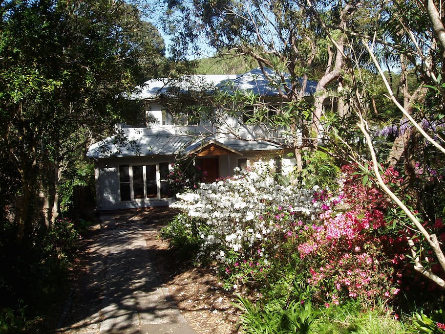Set on 1250m2 the home is surrounded by native garden, gum and palm trees. Enter via front garden set well back from the street