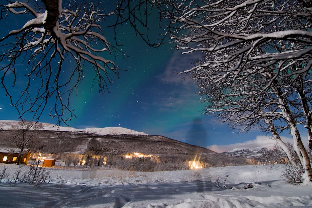 Fotograf Mikkel Lima har fanget Nordlyset som danser over huset og Håkøybotn.