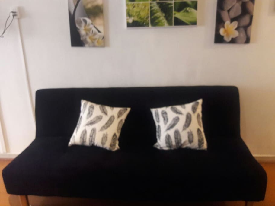 Living con futón, otra cama disponible, y mucha luminosidad.