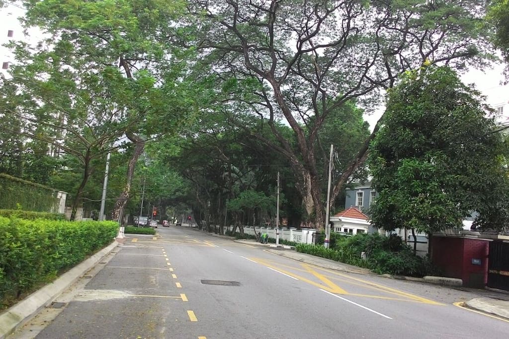 Leafy and green Jalan U-Thant to Condo