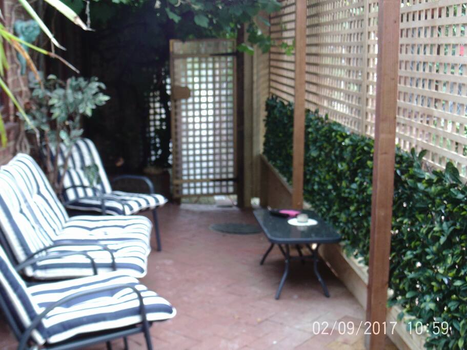 Grapevine terrace