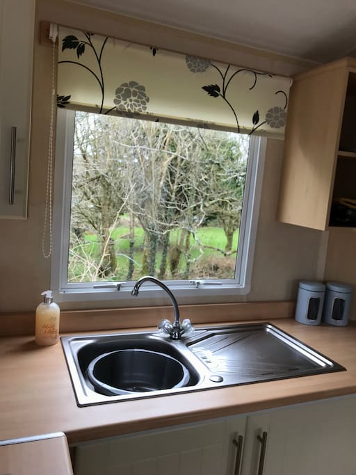 Lovely view of the woods from the kitchen window