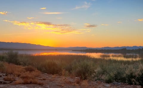 Desert Oasis Getaway