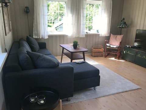 Successful Airbnb property: Cozy cabin in Årdal, Ryfylke. in Hjelmeland