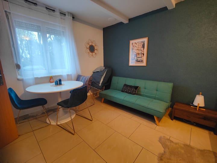 Suite 2 Lits 30 M² Et Salle De Bain Privée Hôtel - Bâle