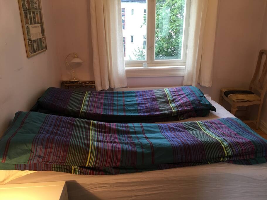 Double bed- 160cm x 200cm