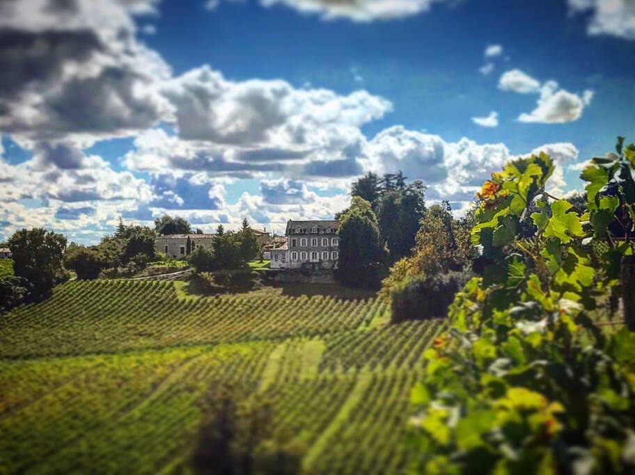 Le vignoble et la maison à l'automne