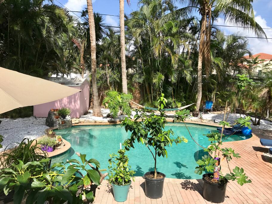 Shared Pool with other apartment