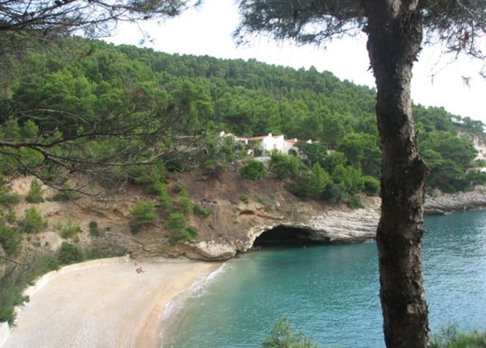 protected bay
sea sports facilities on site