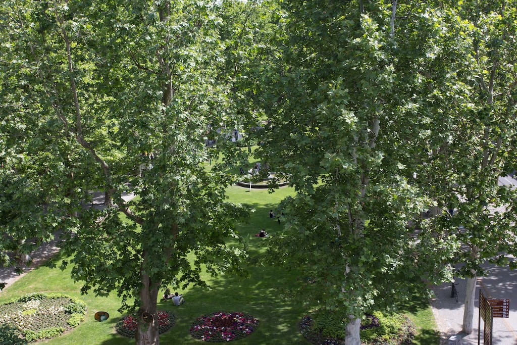Window View - Zrinjevac Park