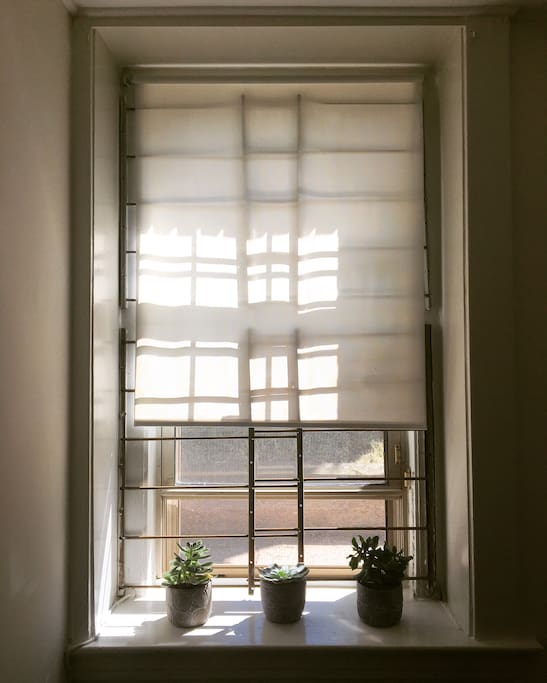 Large windows fill the apartment with light