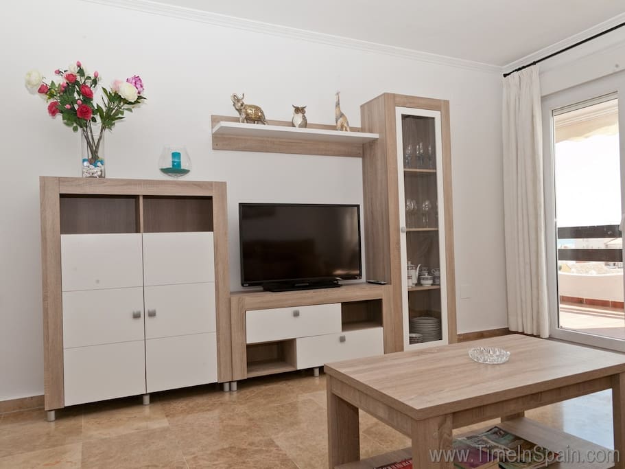Plasma tv and modern lounge furniture
