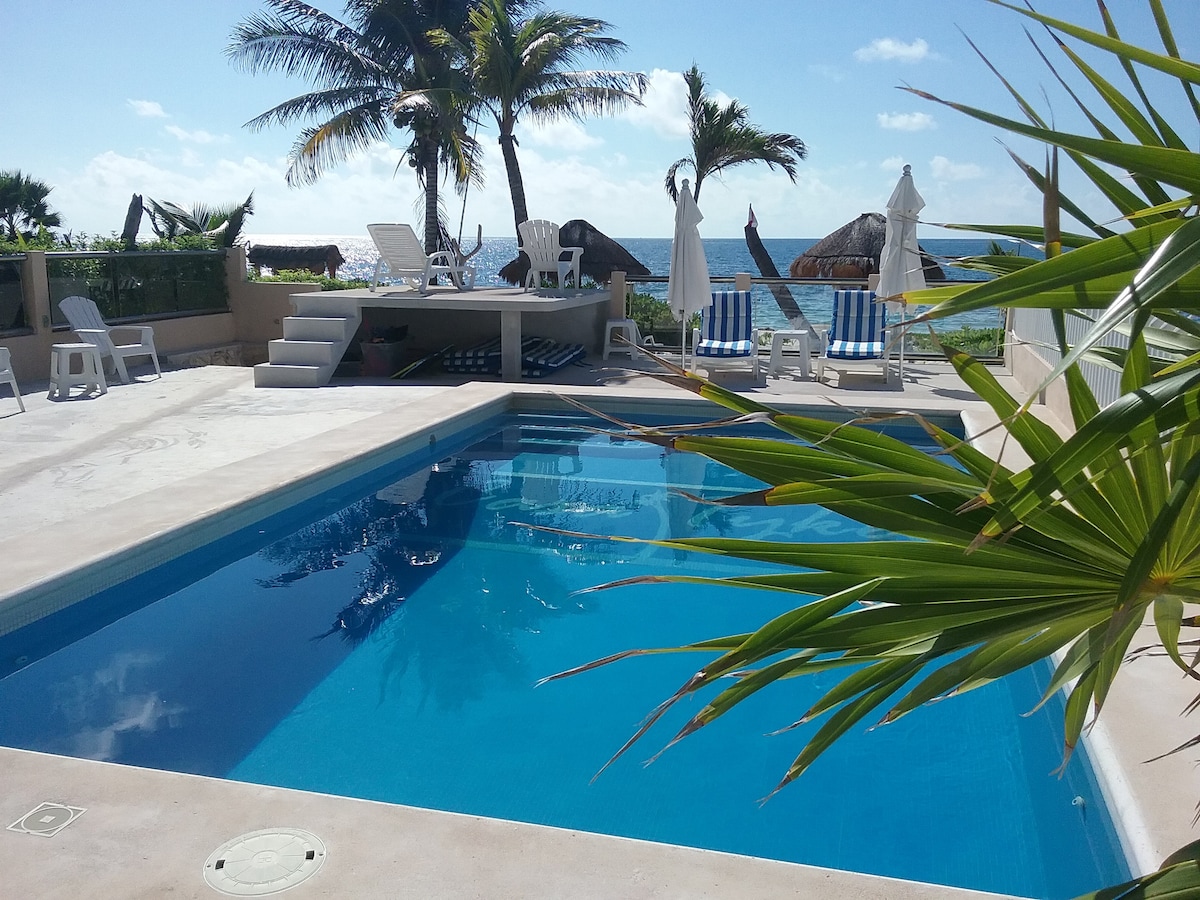 A clear swimming pool is surrounded by a spacious deck, featuring sun loungers and shaded palapas. Tropical palm fronds add greenery to the scene, while the beach and ocean are visible in the background under a bright sky.
