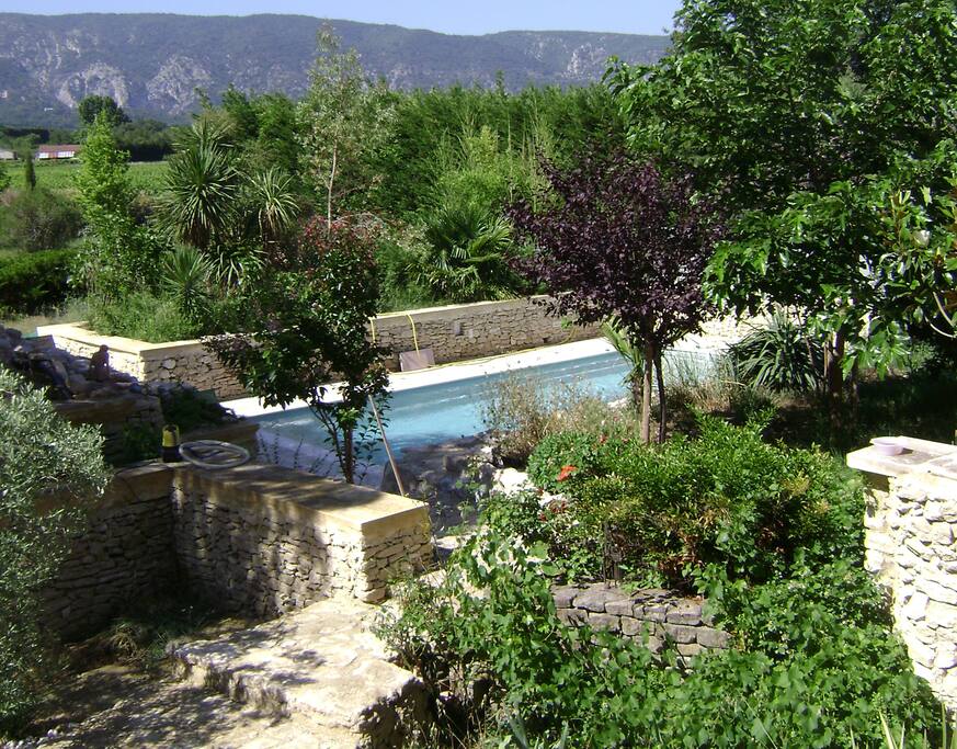 le jardin