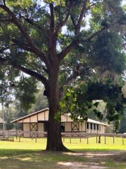 Use of our barn during your stay