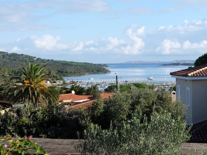 Haus mit Pool, Garten & Meerblick - Reihenhäuser zur Miete in Porto