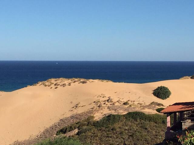 sunset suite
IUN: P7029