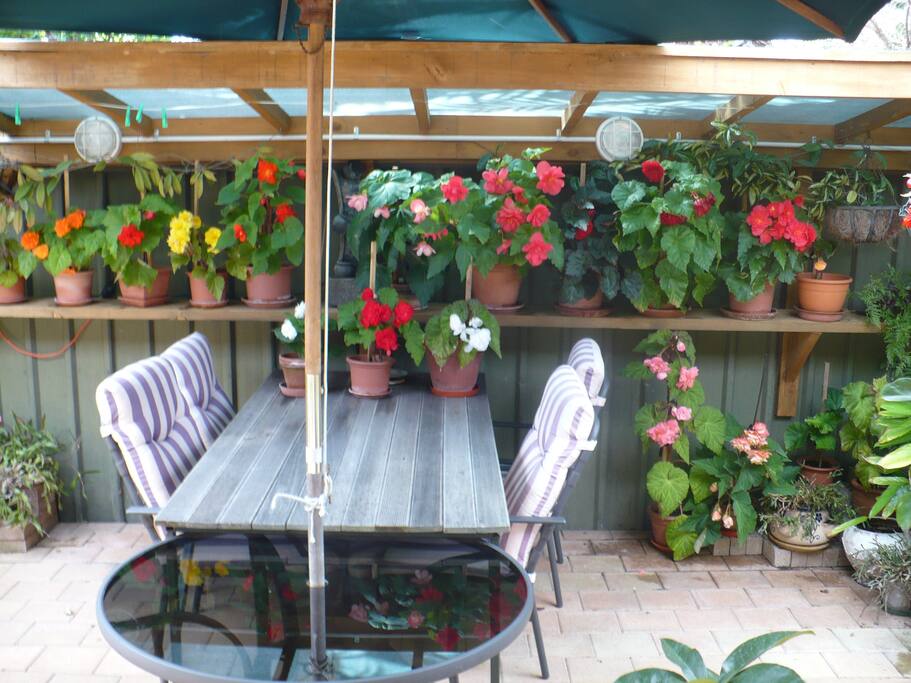 Out side BBQ area