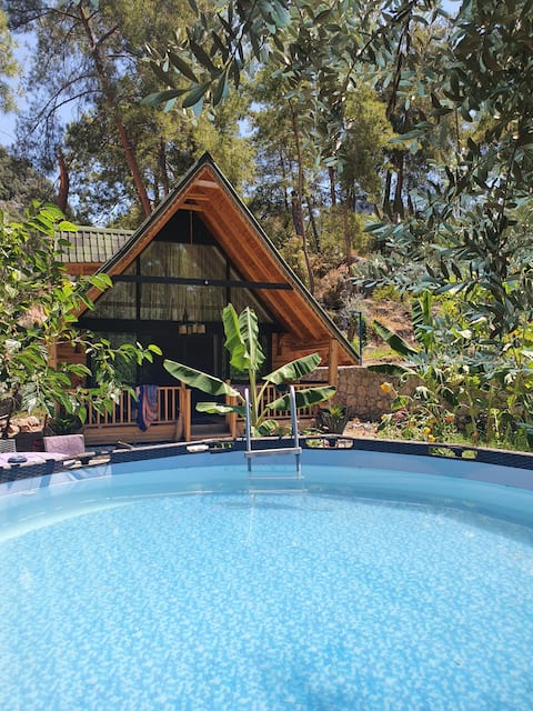 3 Different Scenes Chalet Hidden by Trees