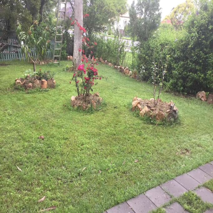 Front yard