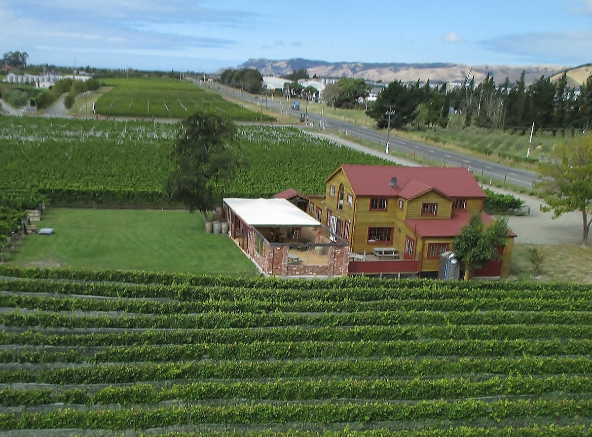 A panoramic view captures a historic red-roofed house surrounded by rows of grapevines. The property includes a spacious lawn and a covered outdoor area. In the background, the landscape features distant hills and a road, emphasizing the vineyard setting.