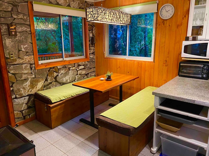 Cabin in native forest, Los Lleuques, Nevados route