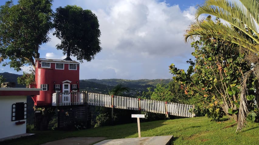 Entire home with 1 bedrooms in rio grande - El Yunque View Treehouse