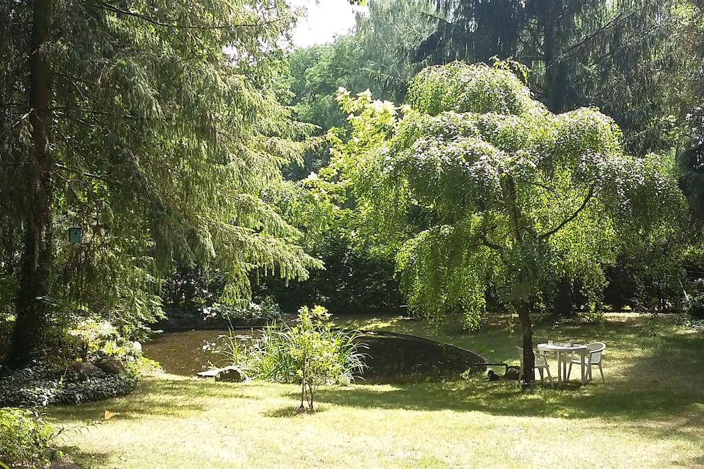 Blick in den Garten