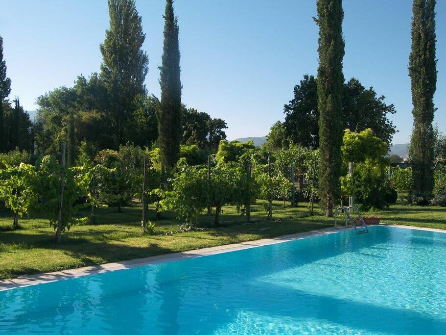 piscina a sfioro solo in estate e meraviglioso giardino all'italiana