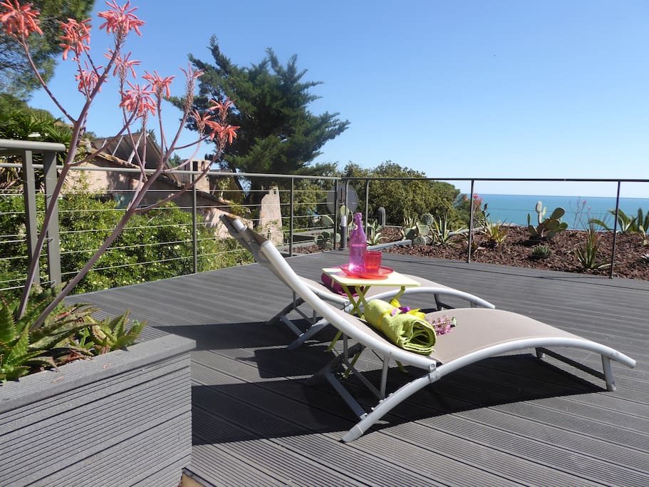 Solarium près piscine devant jardin mexicain face mer
