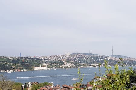Magnificent Bosphorus and garden view villan