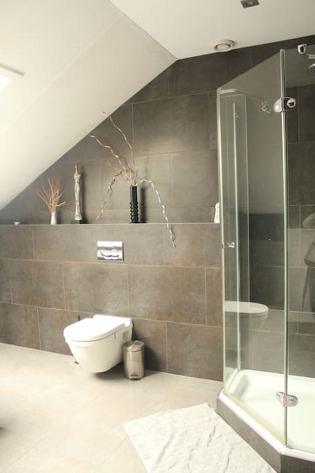 Shower and WC