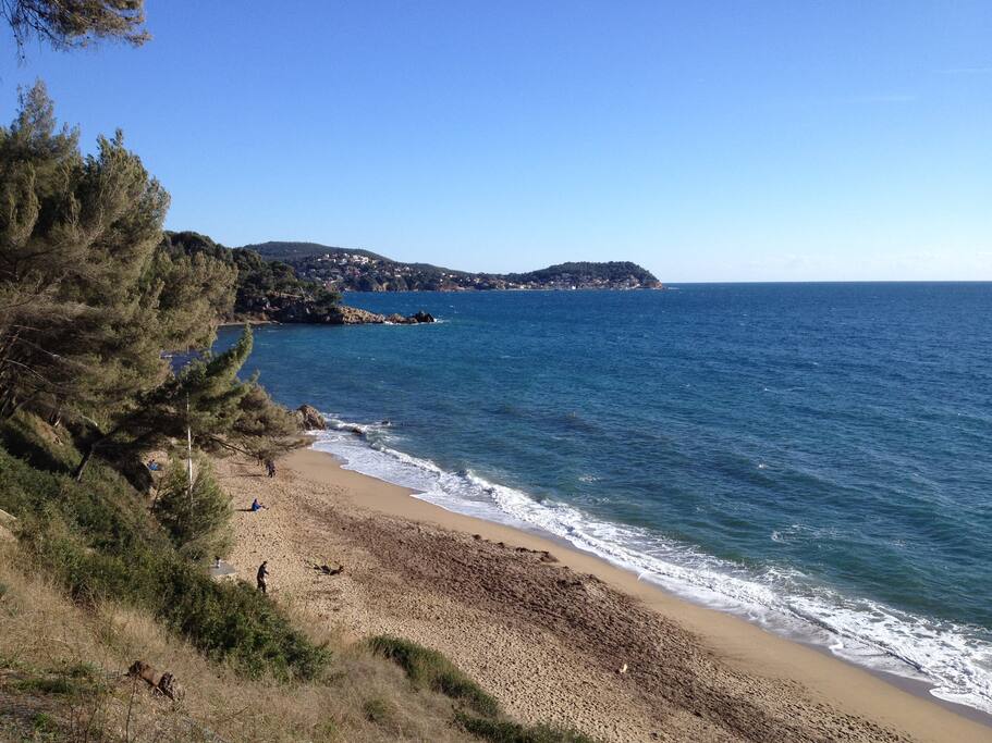 plage du Monaco dans les pins