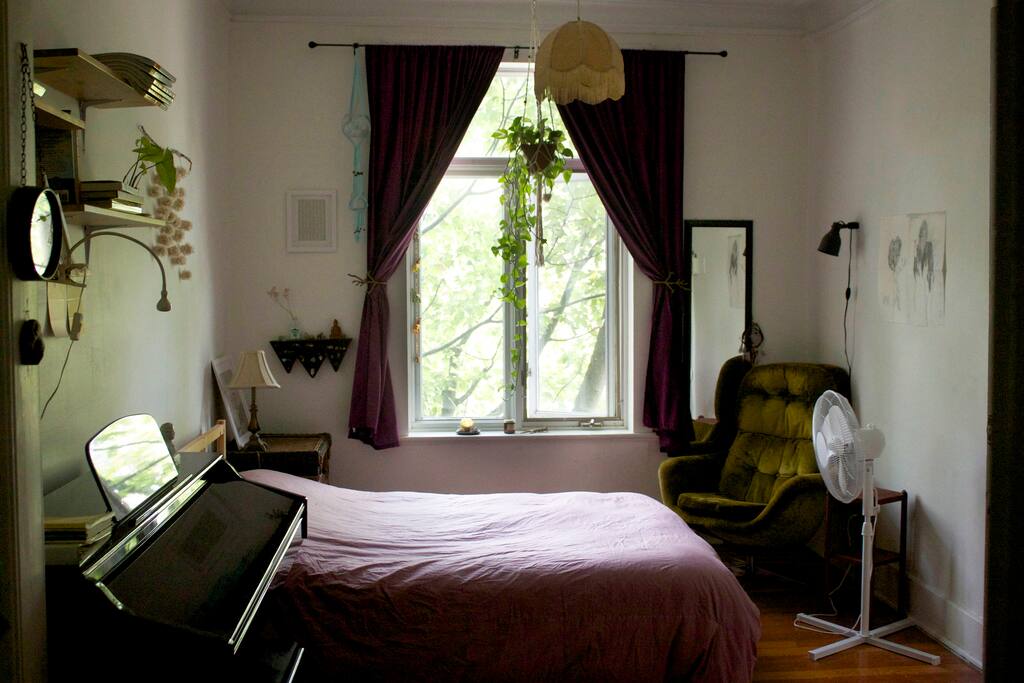 The room