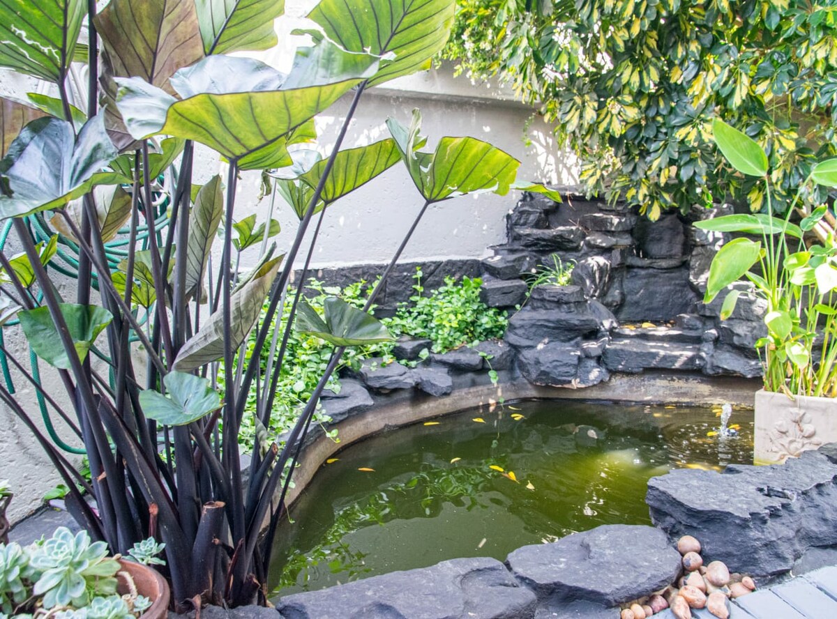 A tranquil fishpond is nestled among lush greenery and dark stone features. Large leaves and various plants provide a natural backdrop, while the still water reflects the surrounding foliage, creating a peaceful outdoor retreat.