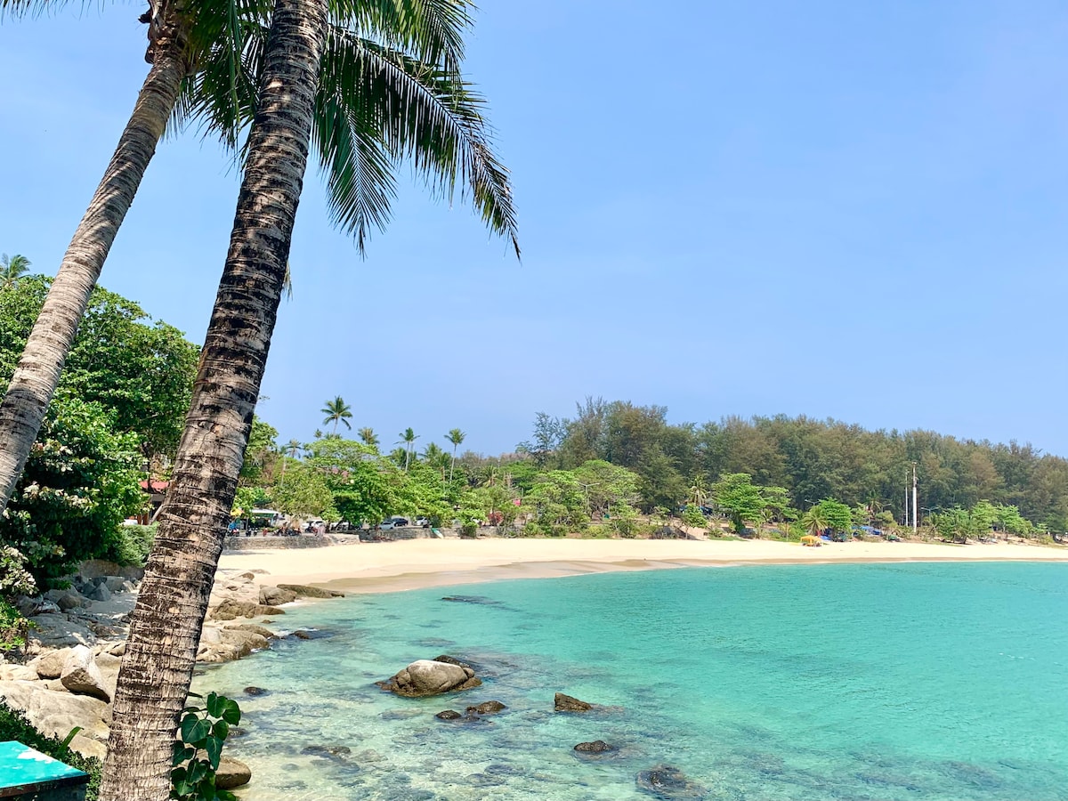 A serene beach scene showcases soft golden sands meeting clear turquoise waters. Lush trees and palm fronds border the coastline, providing a natural backdrop. The gentle waves lap against smooth rocks, enhancing the tranquil atmosphere of the shore.