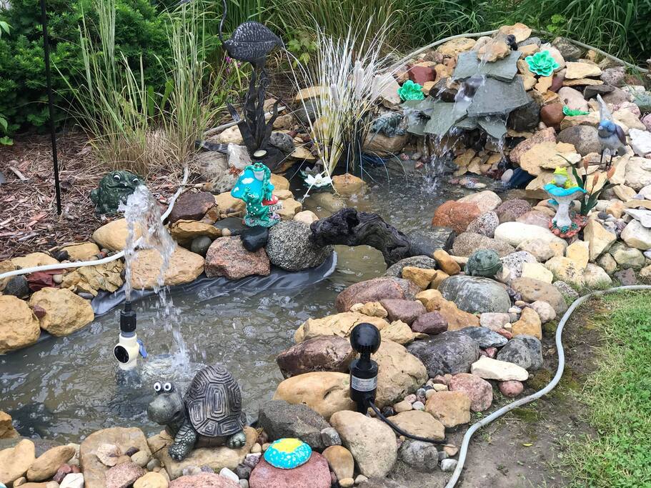 Backyard pond