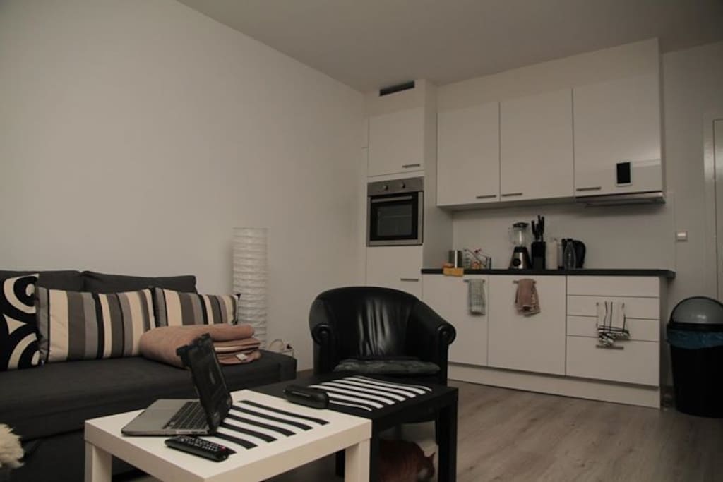 Kitchen and living room