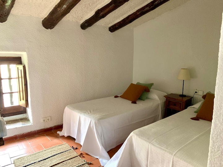 Room nº4 with two beds and a private bathroom with a shower