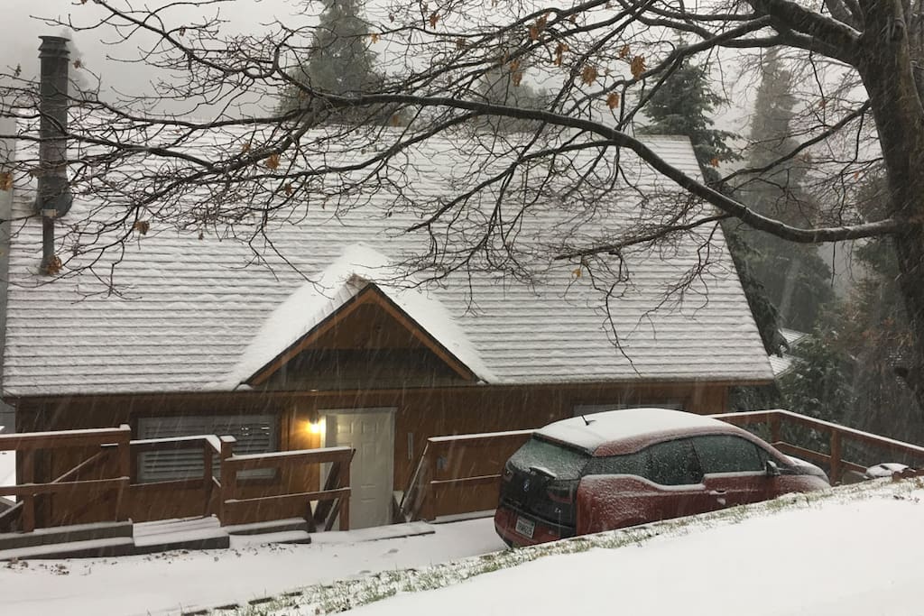 Snowing
November 26 2016