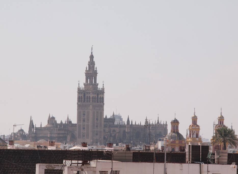 Vista desde la azotea por el día